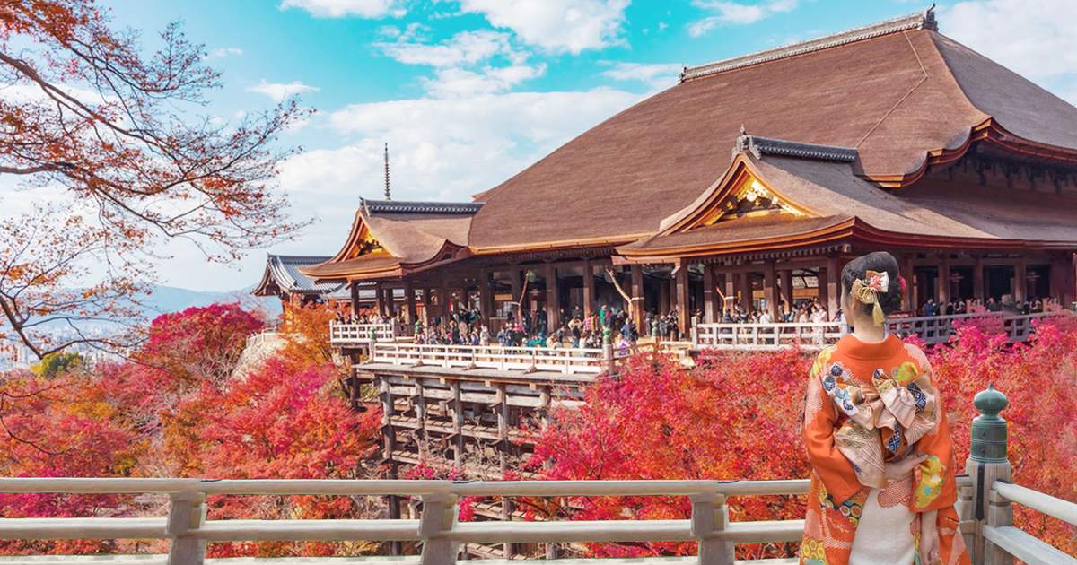 京都：金閣寺＆清水寺＆宇治川＆平等院日帰りツアー（大阪/京都